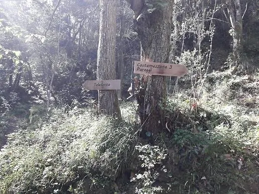 Trekking In Paradise B&B Santa Margherita Ligure