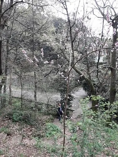 Trekking In Paradise B&B Santa Margherita Ligure