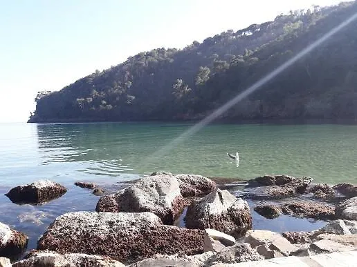Trekking In Paradise B&B Santa Margherita Ligure Bed & Breakfast
